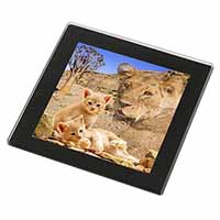 Fantasy Spirit Lion Watch on Ginger Kittens Black Rim High Quality Glass Coaster