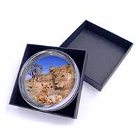 Fantasy Spirit Lion Watch on Ginger Kittens Glass Paperweight in Gift Box