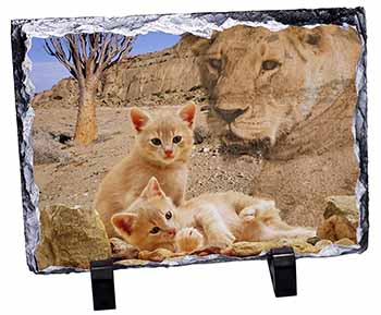 Fantasy Spirit Lion Watch on Ginger Kittens, Stunning Photo Slate