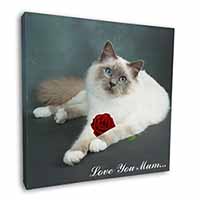 Birman Cat+Rose 