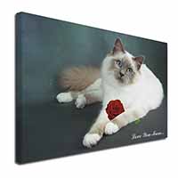 Birman Cat+Rose 