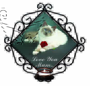 Birman Cat+Rose 