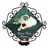 Birman Cat+Rose 