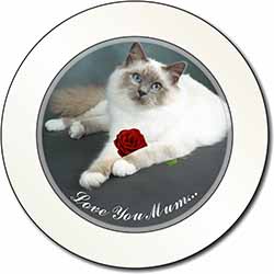 Birman Cat+Rose 