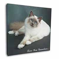 Birman Cat 