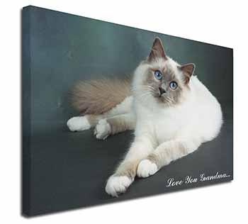 Birman Cat 