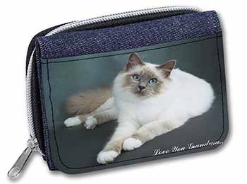 Birman Cat 