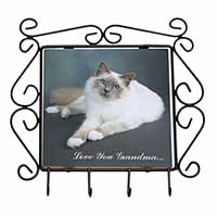 Birman Cat 
