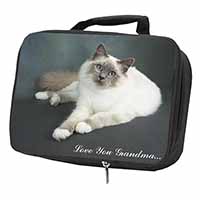 Birman Cat 