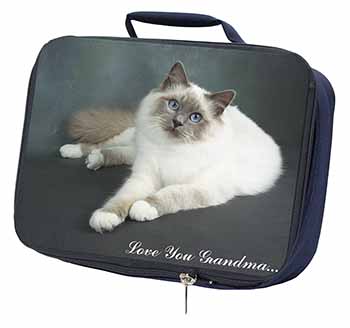 Birman Cat 