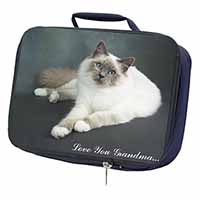 Birman Cat 