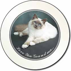 Birman Cat 