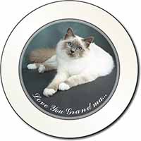 Birman Cat 