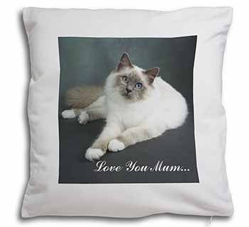 Birman Cat 