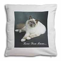 Birman Cat 