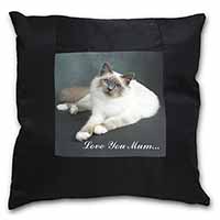 Birman Cat 