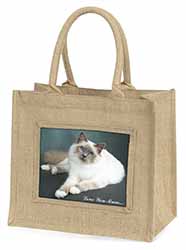 Birman Cat 