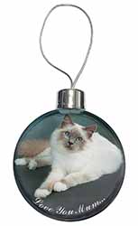 Birman Cat 