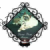 Birman Cat 