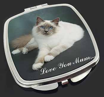 Birman Cat 