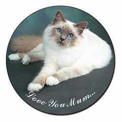 Birman Cat 