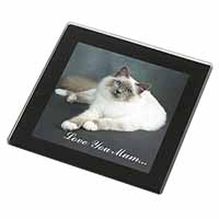 Birman Cat 