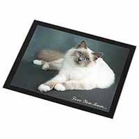 Birman Cat 