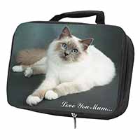 Birman Cat 