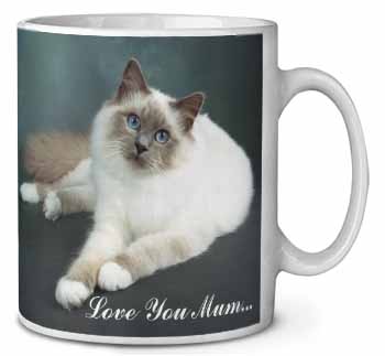 Birman Cat 