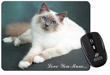 Birman Cat 