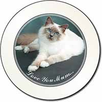 Birman Cat 