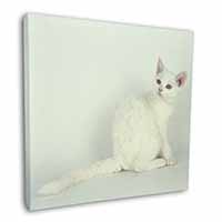 White American Wire Hair Cat Square Canvas 12"x12" Wall Art Picture Print
