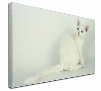 White American Wire Hair Cat Canvas X-Large 30"x20" Wall Art Print