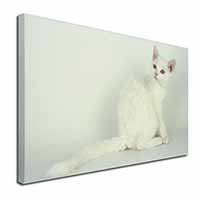 White American Wire Hair Cat Canvas X-Large 30"x20" Wall Art Print