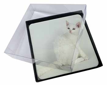 4x White American Wire Hair Cat Picture Table Coasters Set in Gift Box