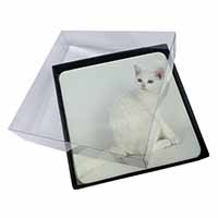 4x White American Wire Hair Cat Picture Table Coasters Set in Gift Box