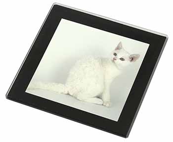 White American Wire Hair Cat Black Rim High Quality Glass Coaster