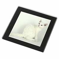 White American Wire Hair Cat Black Rim High Quality Glass Coaster