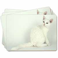 White American Wire Hair Cat Picture Placemats in Gift Box