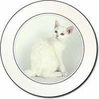 White American Wire Hair Cat Car or Van Permit Holder/Tax Disc Holder