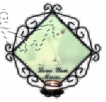 White Cat 