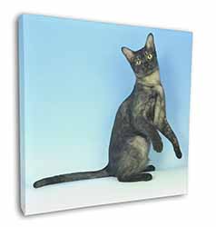 Pretty Asian Smoke Cat Square Canvas 12"x12" Wall Art Picture Print