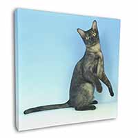 Pretty Asian Smoke Cat Square Canvas 12"x12" Wall Art Picture Print