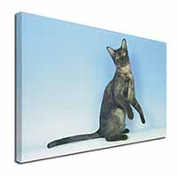 Pretty Asian Smoke Cat Canvas X-Large 30"x20" Wall Art Print