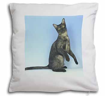 Pretty Asian Smoke Cat Soft White Velvet Feel Scatter Cushion