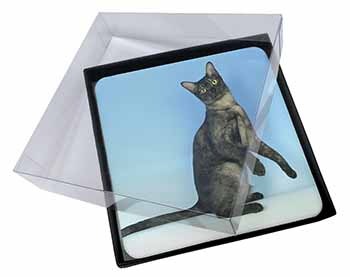 4x Pretty Asian Smoke Cat Picture Table Coasters Set in Gift Box
