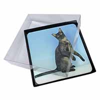 4x Pretty Asian Smoke Cat Picture Table Coasters Set in Gift Box