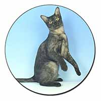 Pretty Asian Smoke Cat Fridge Magnet Printed Full Colour