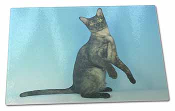 Large Glass Cutting Chopping Board Pretty Asian Smoke Cat