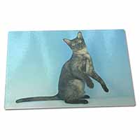 Large Glass Cutting Chopping Board Pretty Asian Smoke Cat